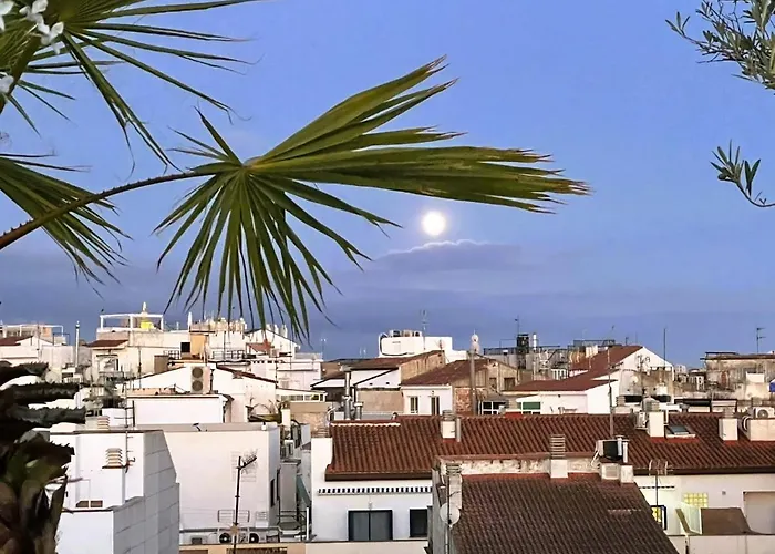 Apartment Attic Center *